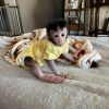 Buy Baby Macaque Monkey