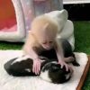 Buy male macaque monkey – playful baby macaque exploring