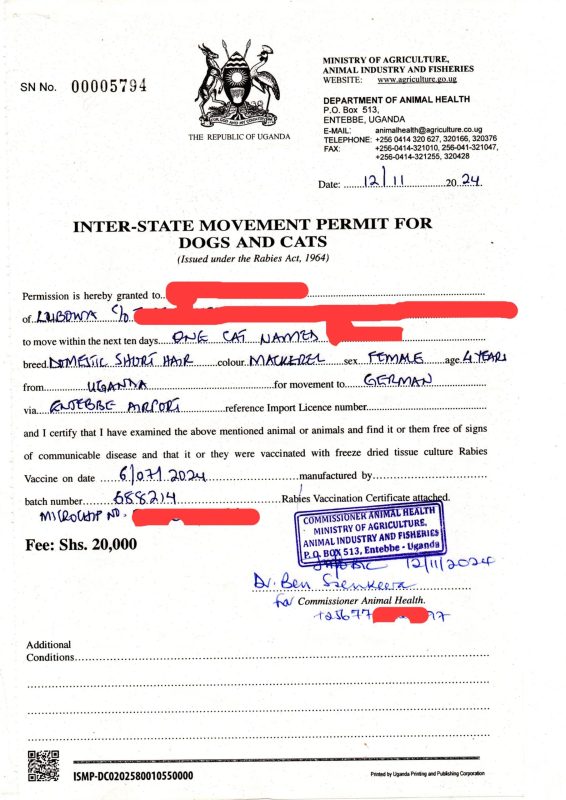 Is It Legal to Own a Monkey?